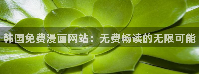 漫蛙2正版免费下载：韩国免费漫画网站：无费畅读的无限可能