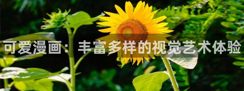 搜索_漫蛙漫画：可爱漫画：丰富多样的视觉艺术体验