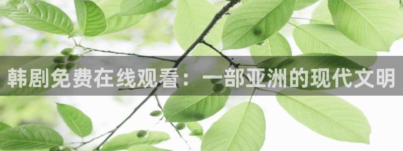 漫蛙2.0下载：韩剧免费在线观看：一部亚洲的现代文明