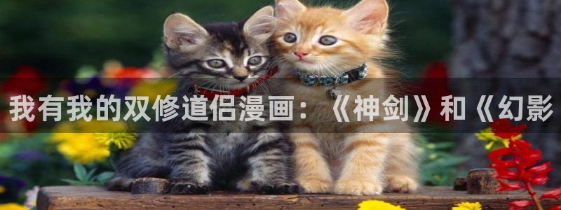 漫蛙漫画(网页入口)_漫蛙manwa1官网版_：我有我的双修道侣漫画：《神剑》和《幻影