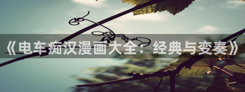 漫蛙漫画网页版直接进入：《电车痴汉漫画大全：经典与变奏》