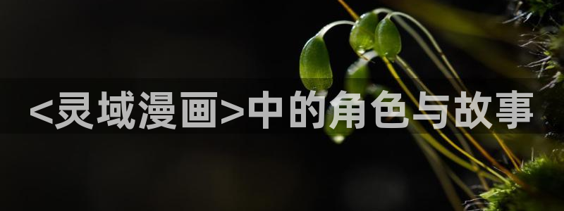 漫蛙网站怎么下载：<灵域漫画>中的角色与故事