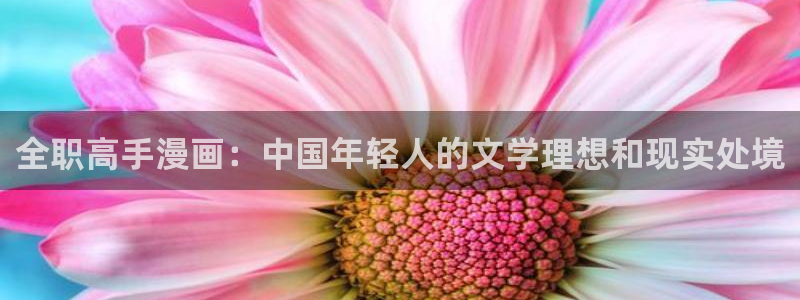 漫蛙漫画正版下载安装：全职高手漫画：中国年轻人的文学理想和现实处境